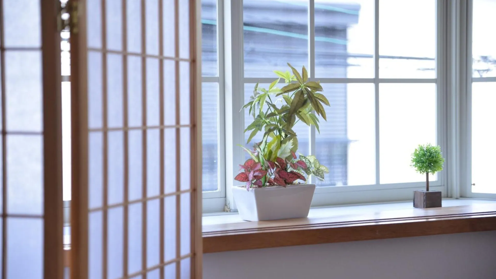 Green House 201 - Vacation Stay 28288V Tokyo Gæstehus